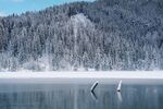 雪山
