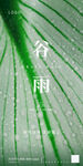谷雨