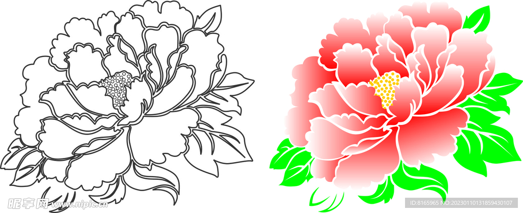 花朵矢量图