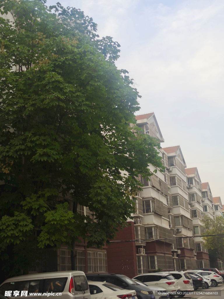 小区