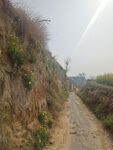 乡间小路