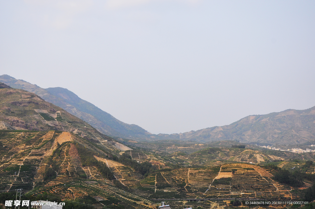 凤凰山全景