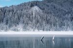 雪山
