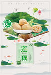 莲藕海报
