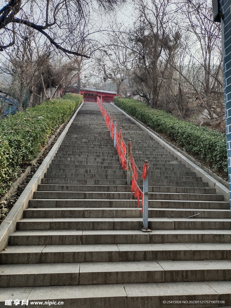 台阶