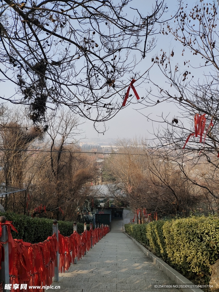 台阶