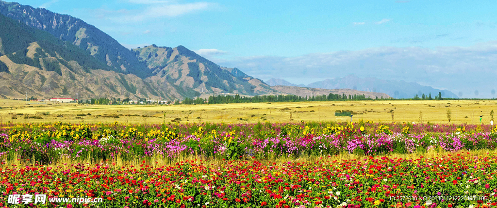 乌鲁木齐南山花海