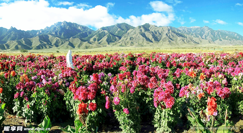 乌鲁木齐南山花海