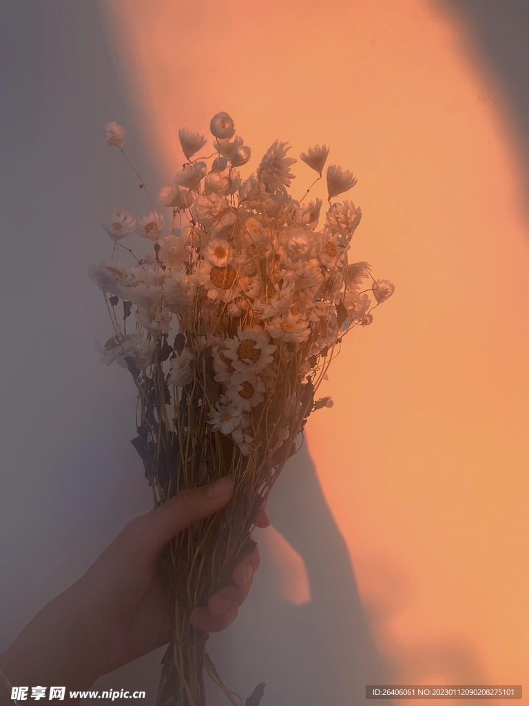 干花