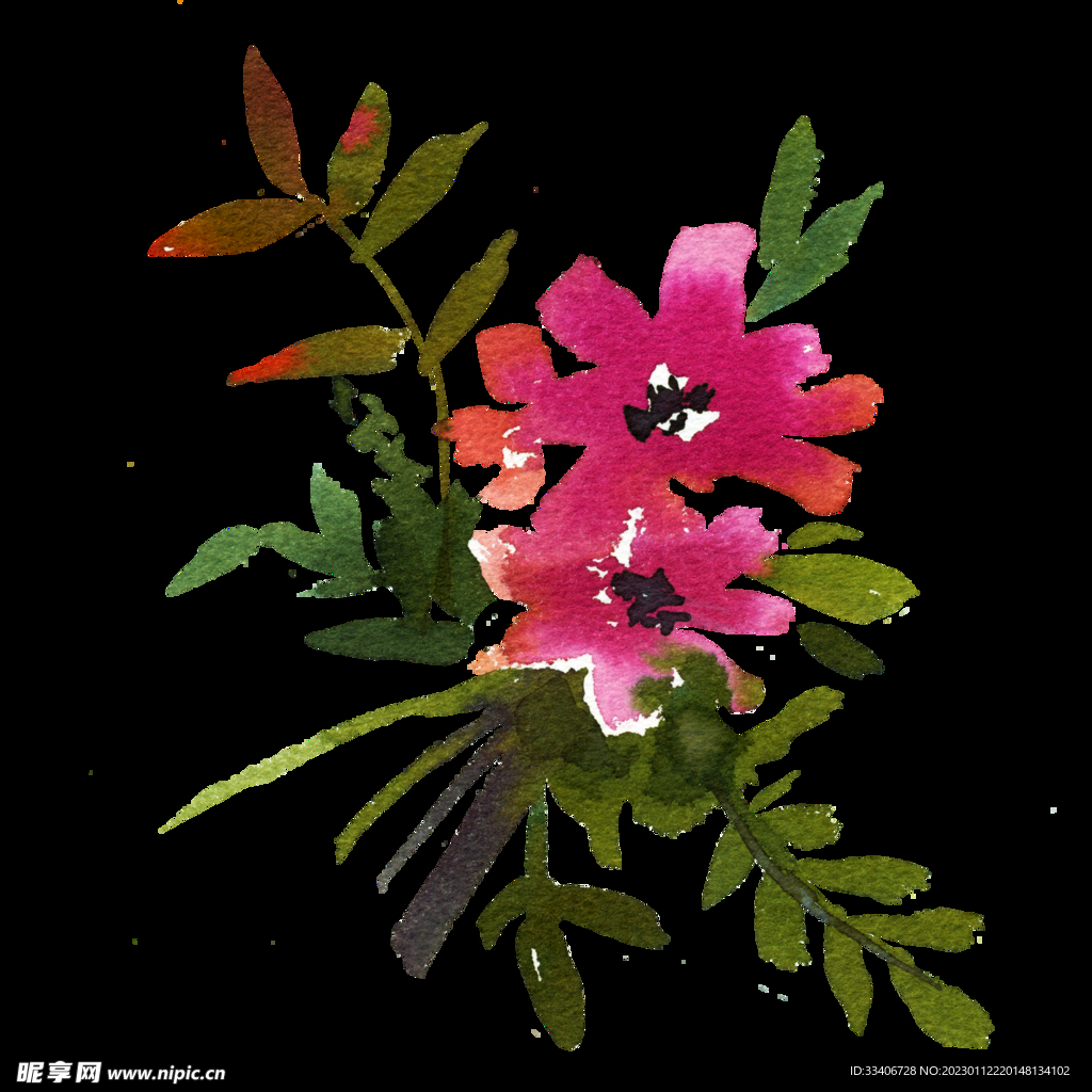 水彩花图片
