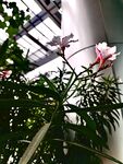 花的时间