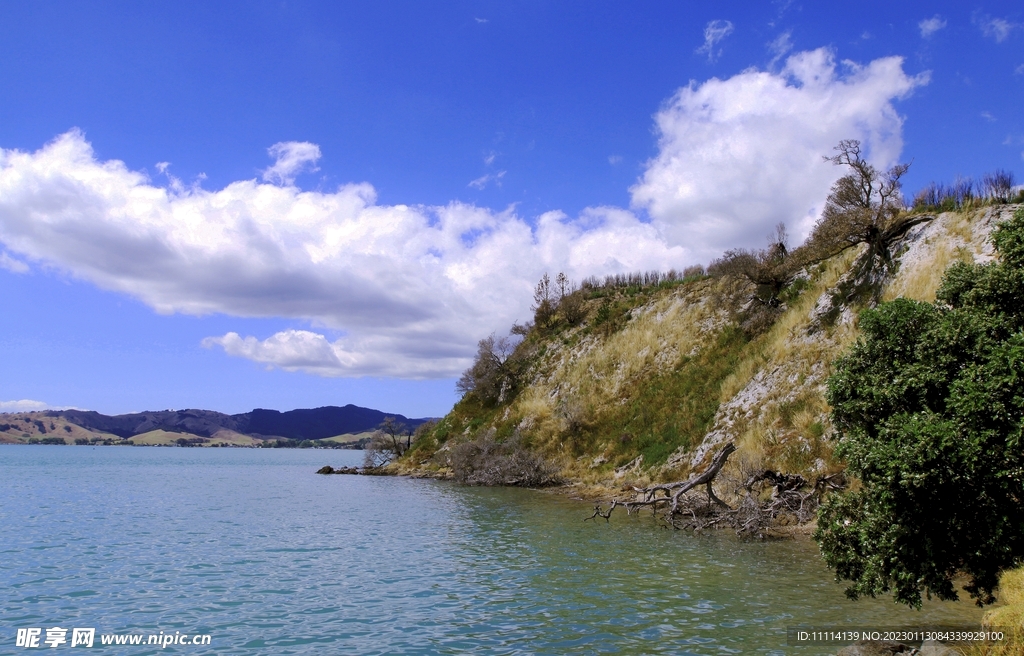 新西兰海滨风景