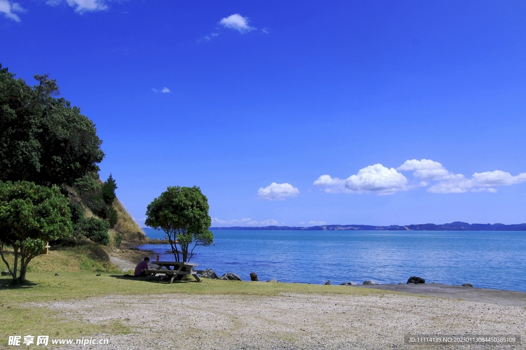 新西兰海滨风景