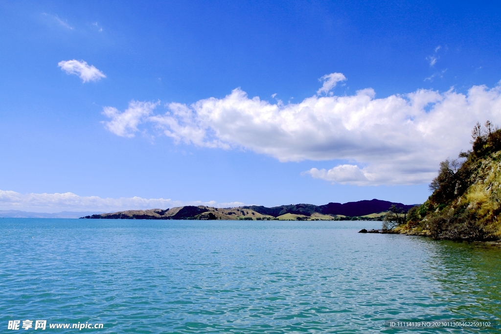 奥克兰海滨自然风景