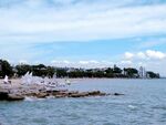 奥克兰海滨风景