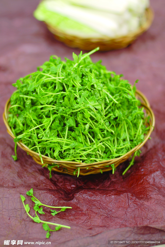 鸡油豆苗
