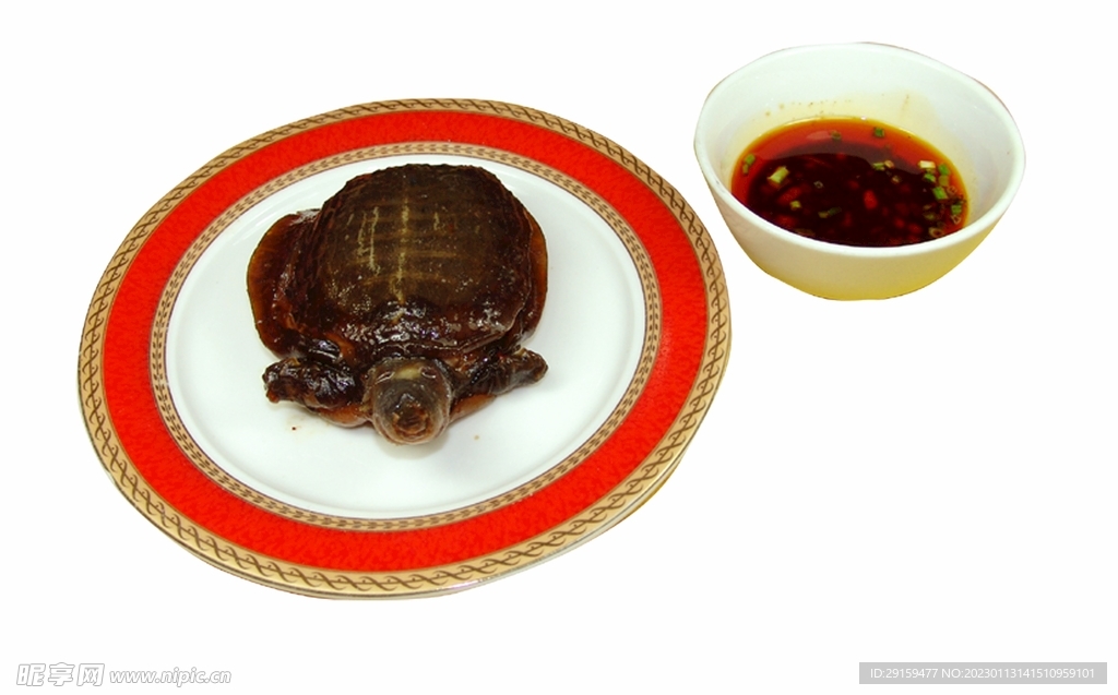 甲鱼仔