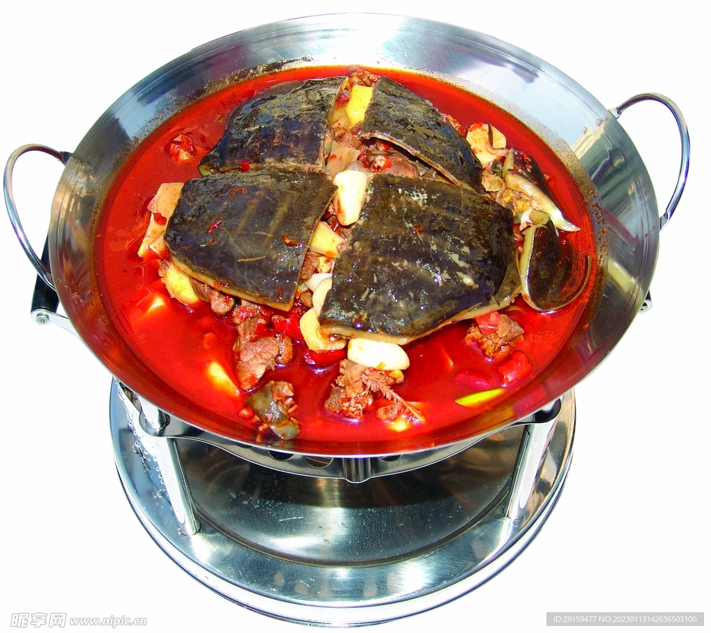 荆沙甲鱼
