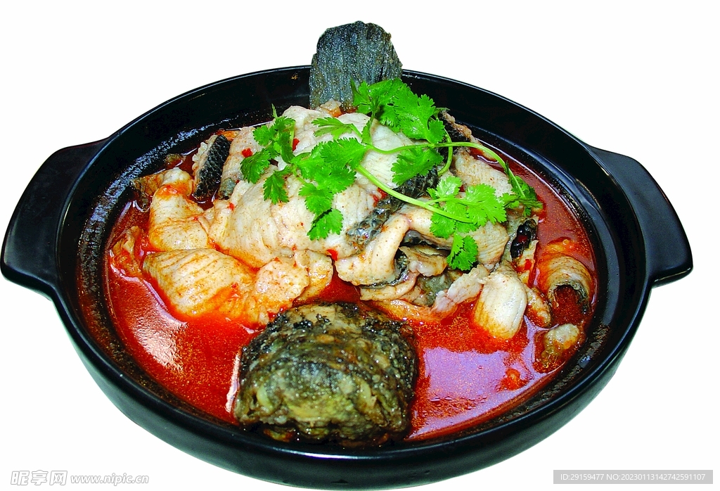 荆沙财鱼