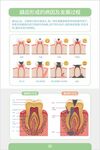 牙科海报 展板