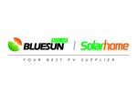 BLESUN logo标