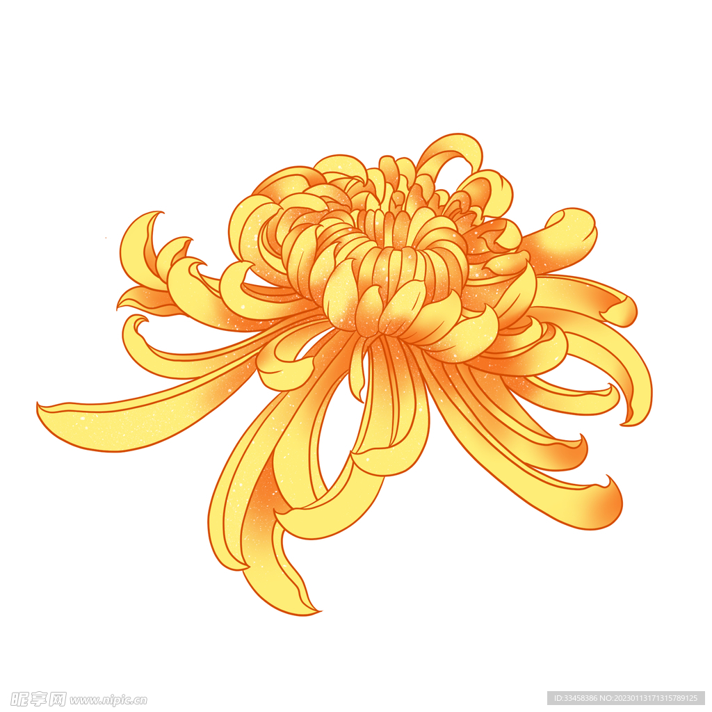 重阳节祥云菊花