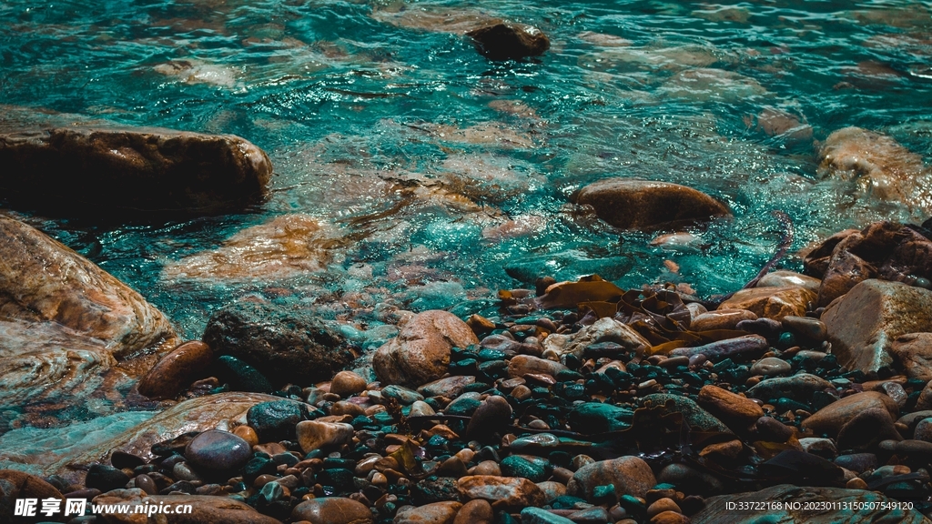 海豹