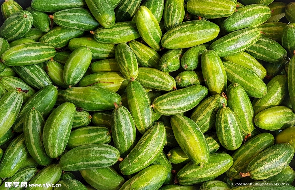 黄瓜