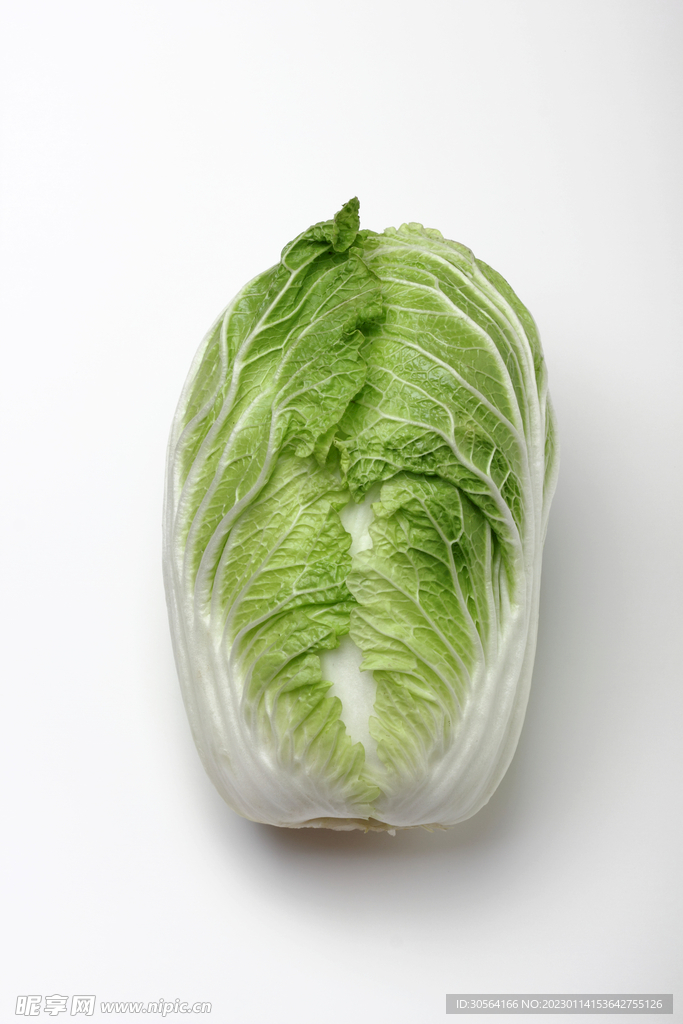 白菜