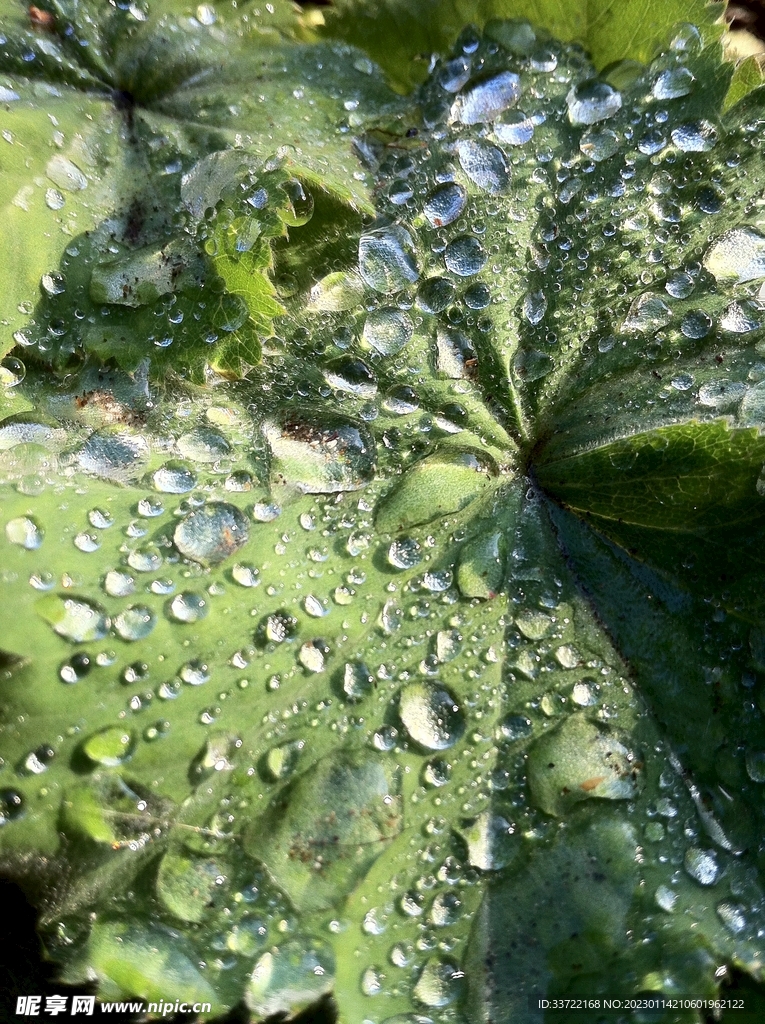 水滴水珠