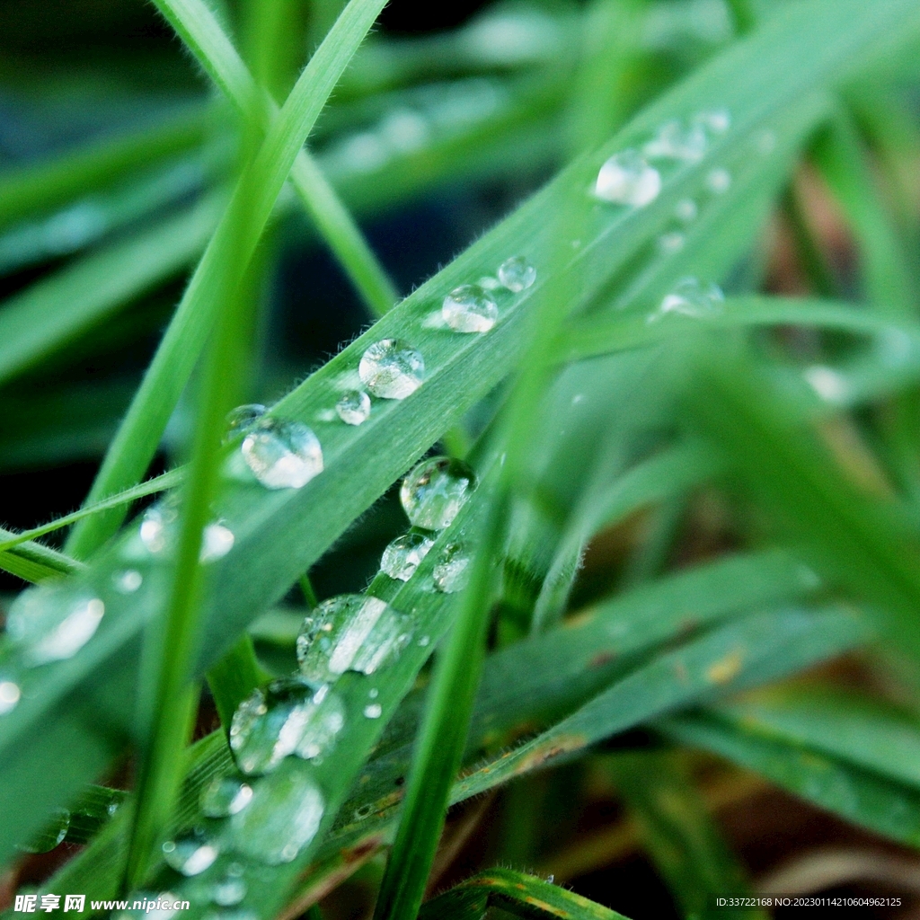 水滴水珠