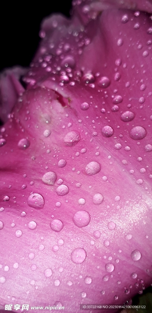 水滴水珠