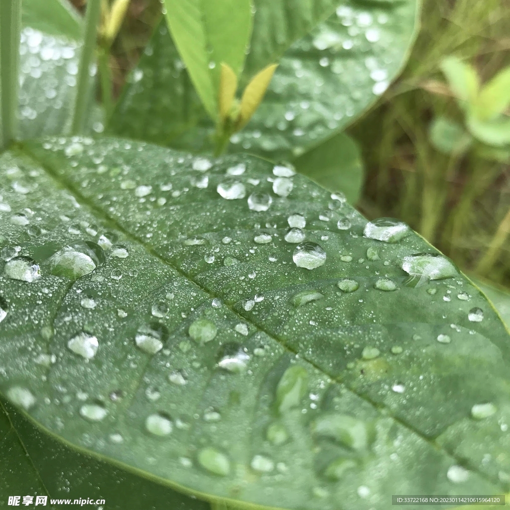 水滴水珠