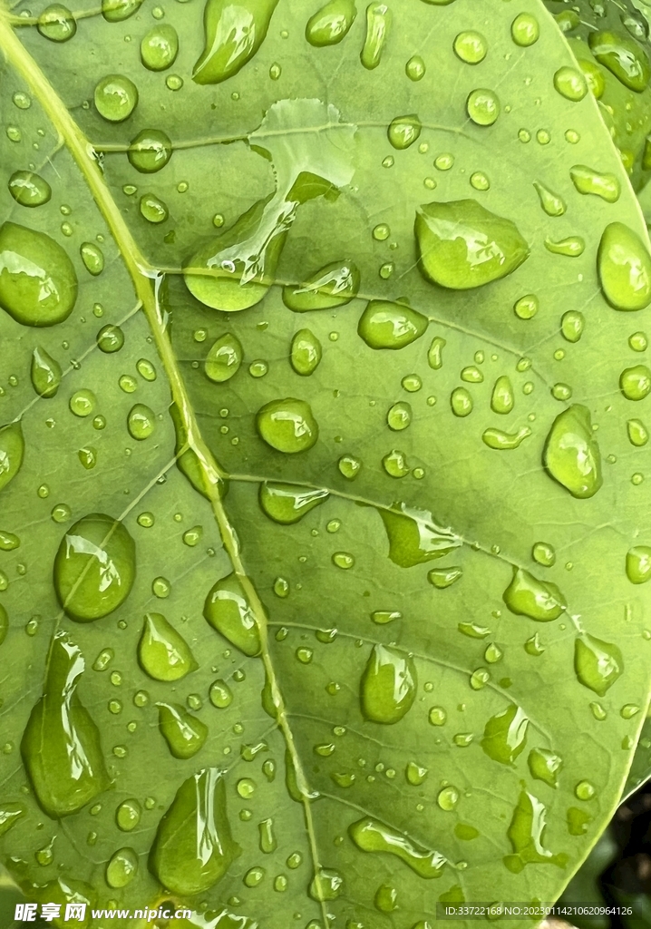 水滴水珠