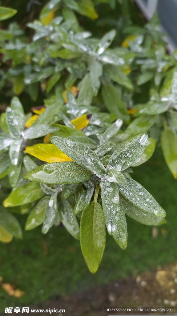 水滴水珠