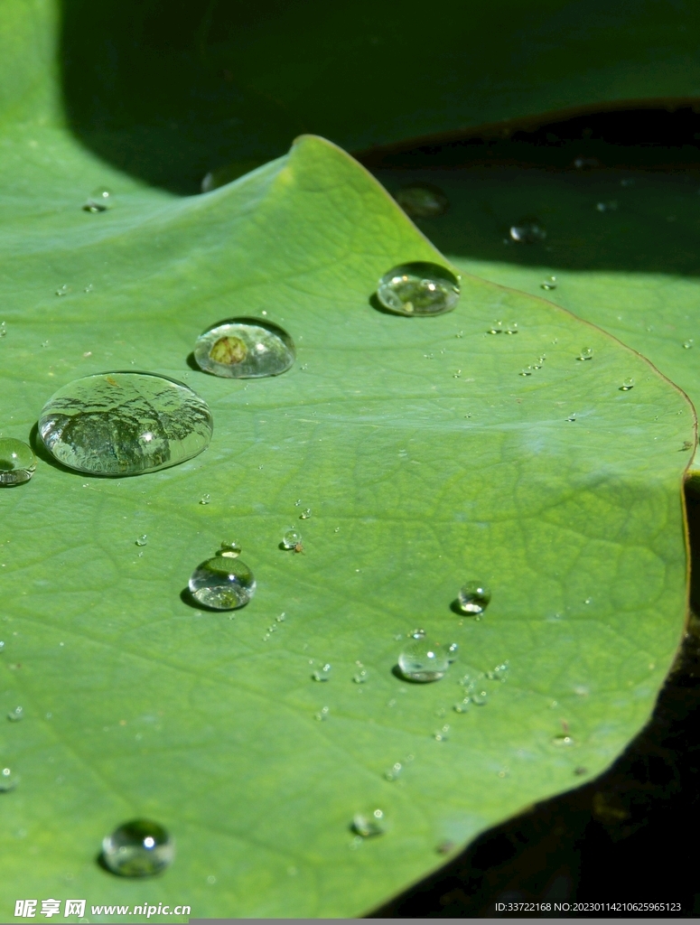 水滴水珠