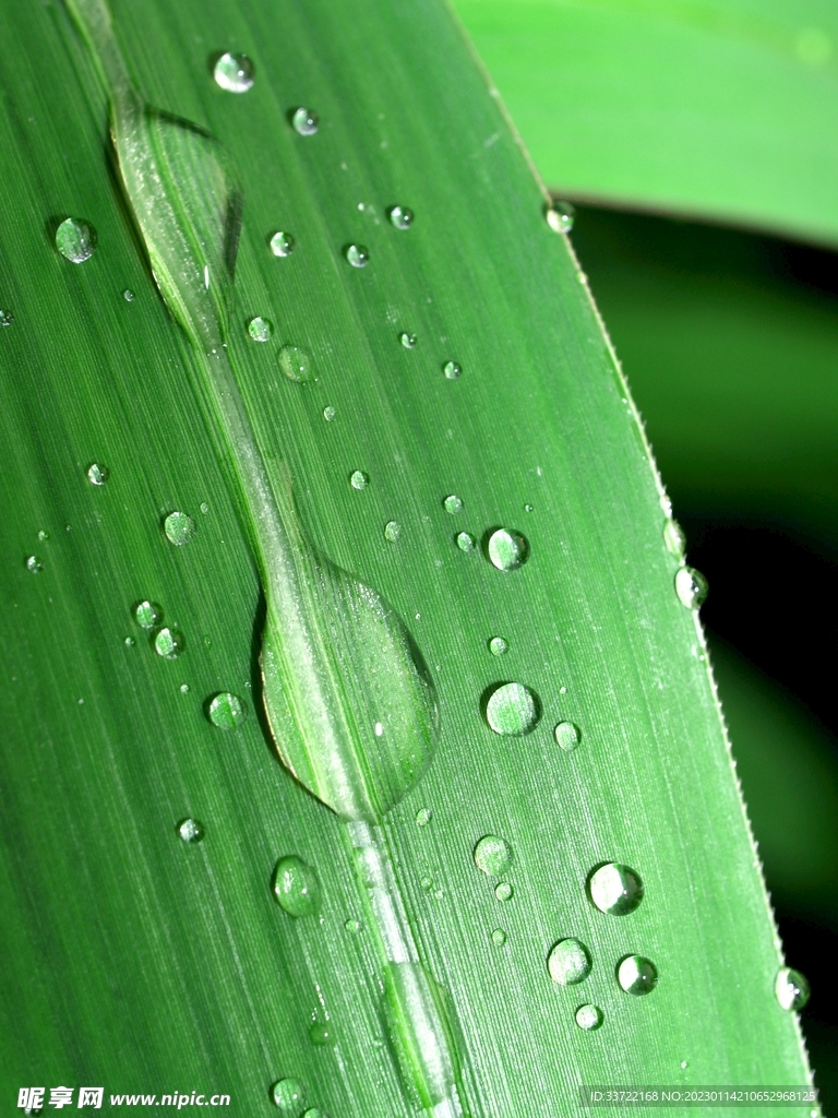 水滴水珠