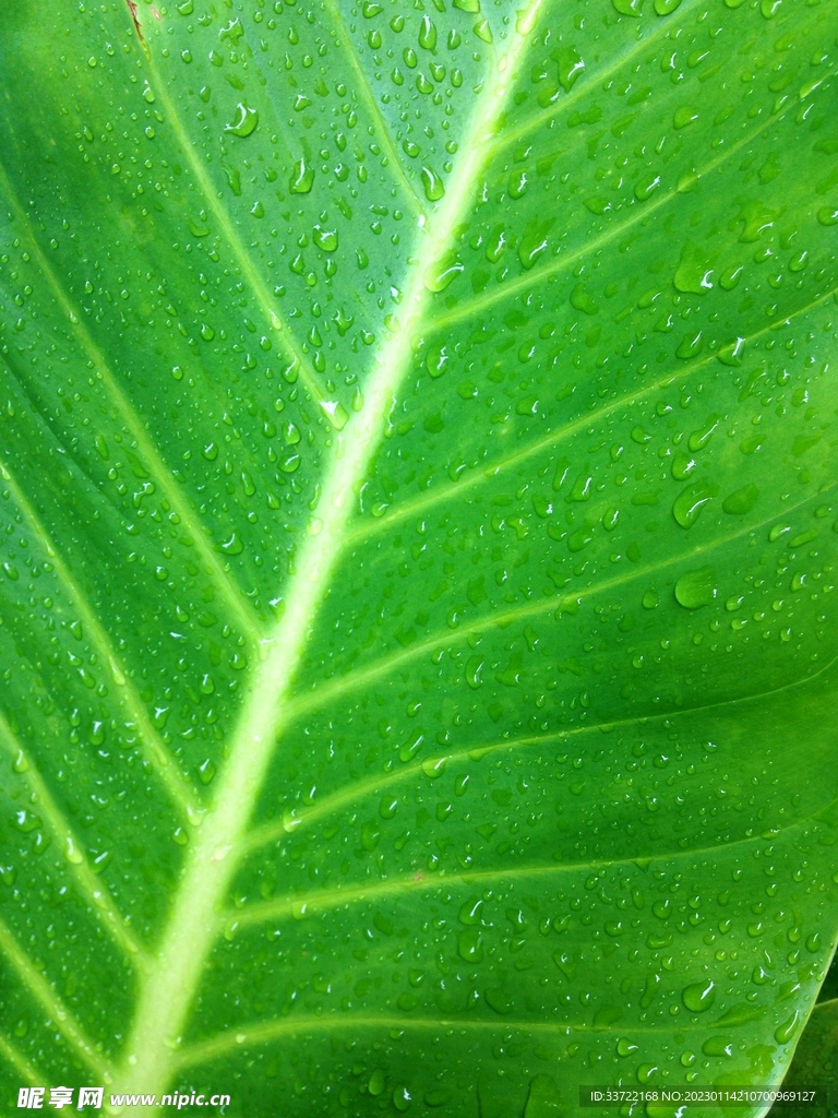水滴水珠