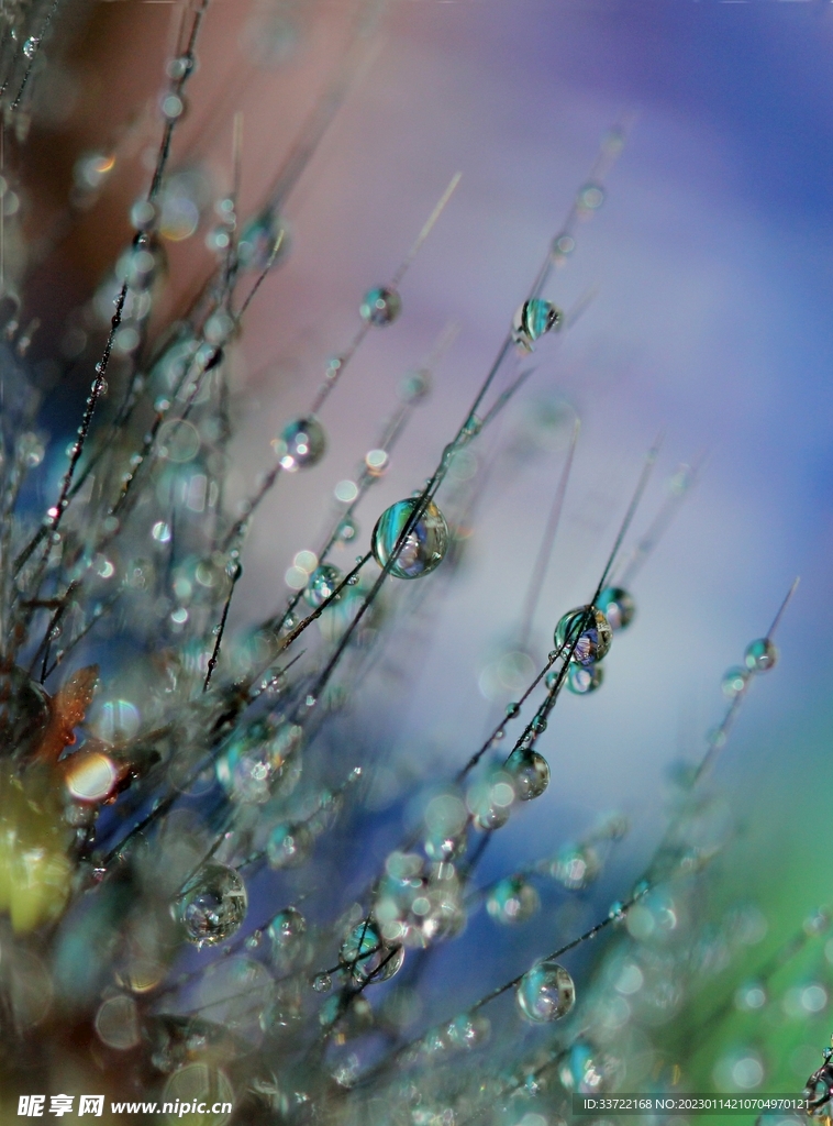 水滴水珠
