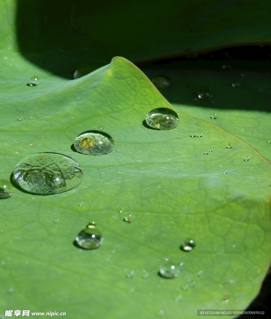 水滴水珠