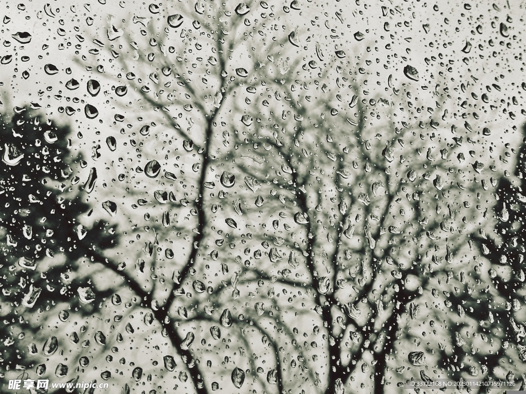 水滴水珠