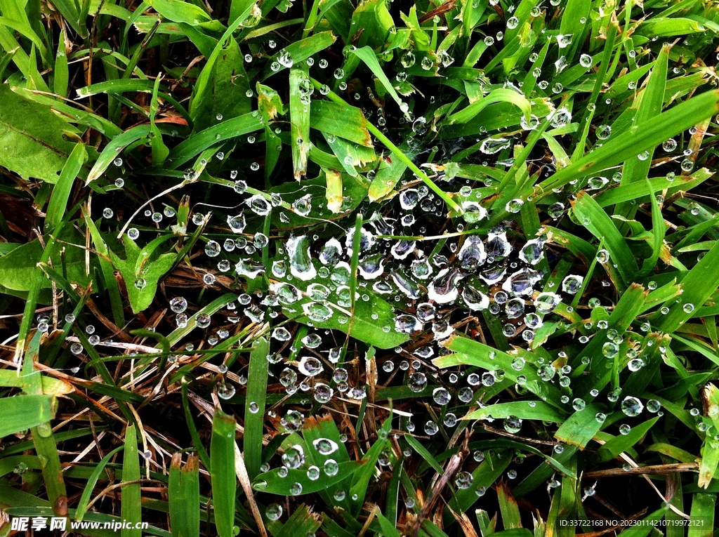 水滴水珠