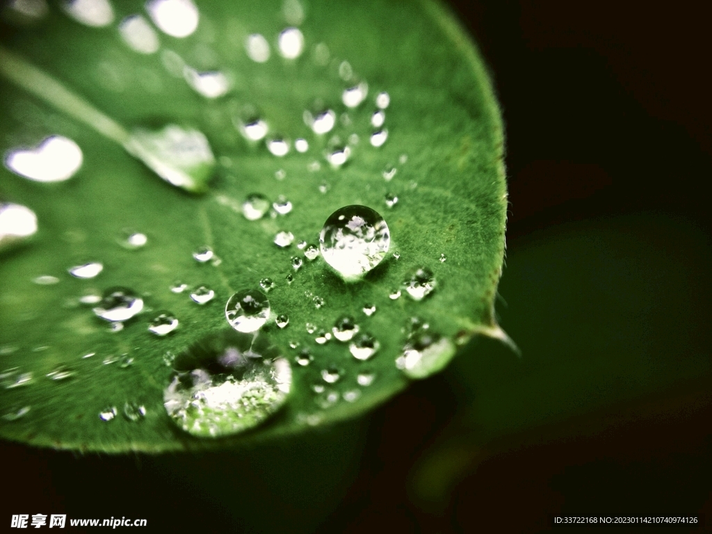 水滴水珠