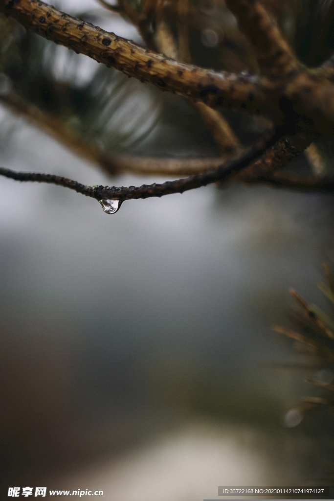 水滴水珠