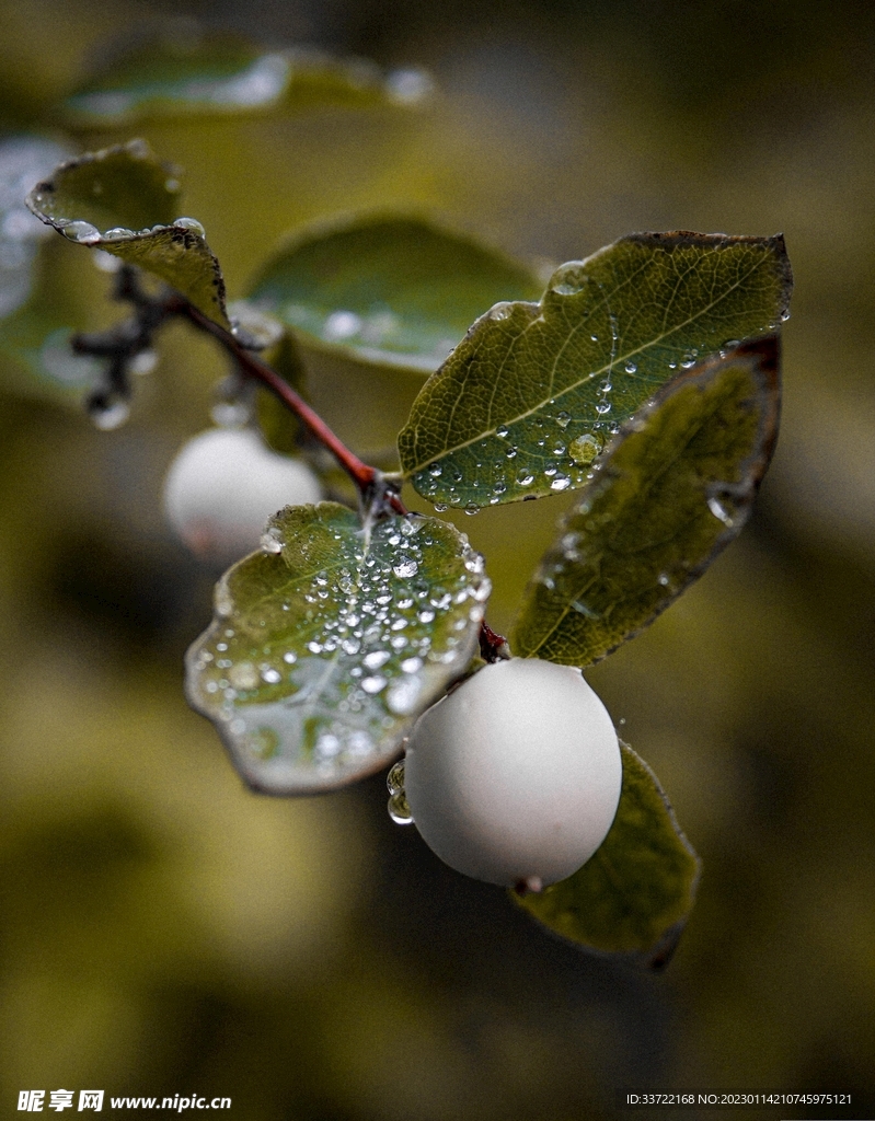 水滴水珠