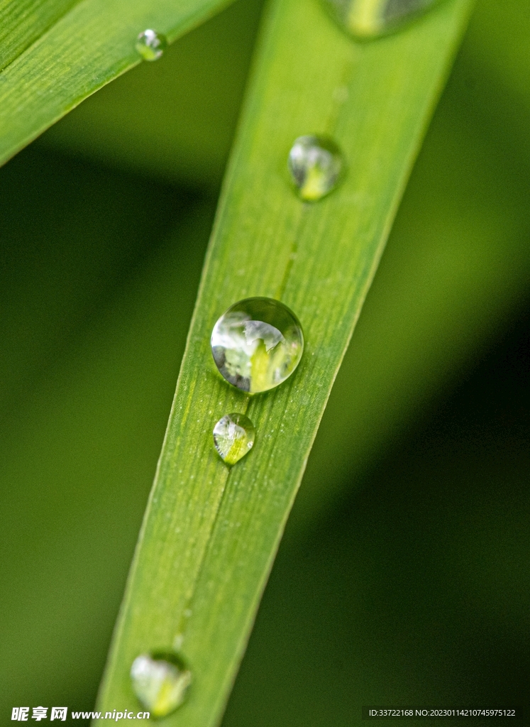 水滴水珠