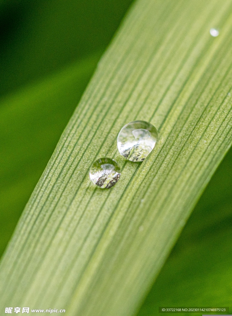 水滴水珠