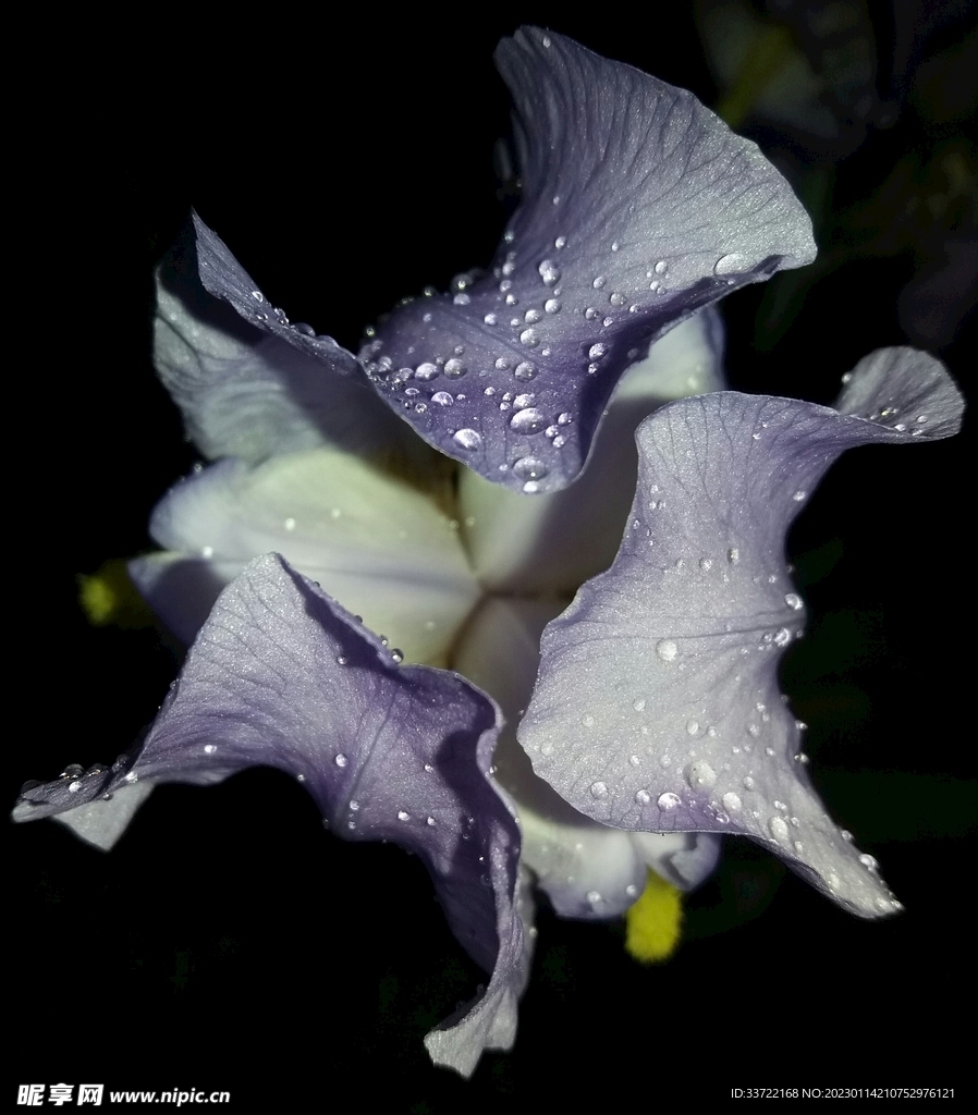 水滴水珠