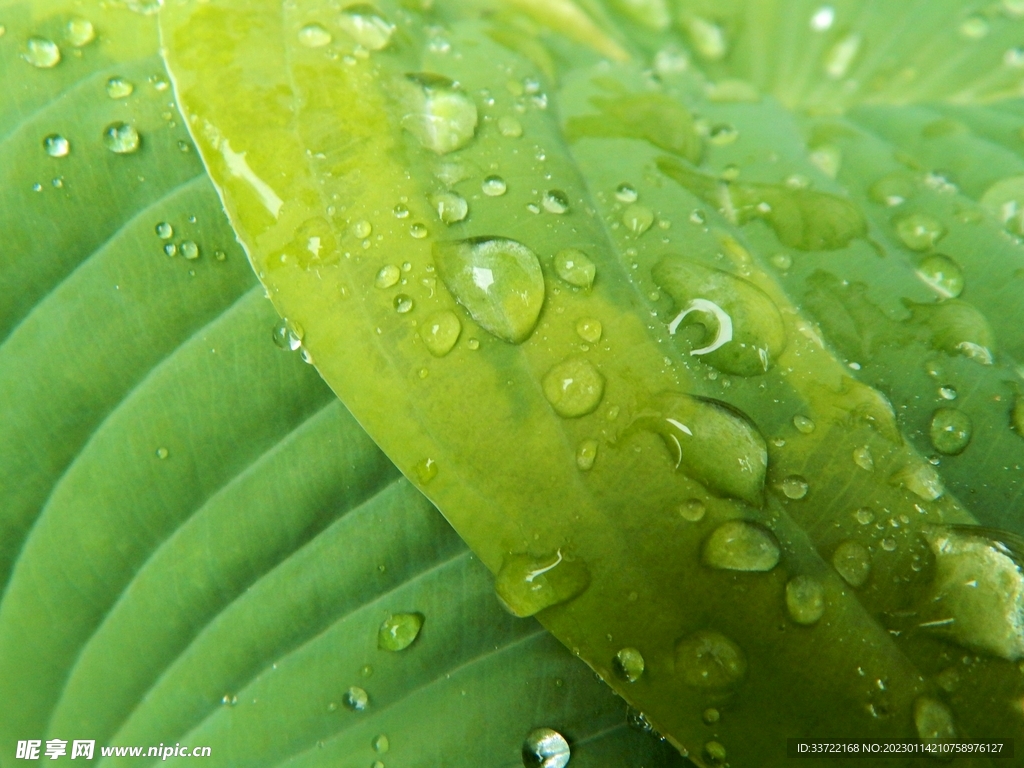 水滴水珠