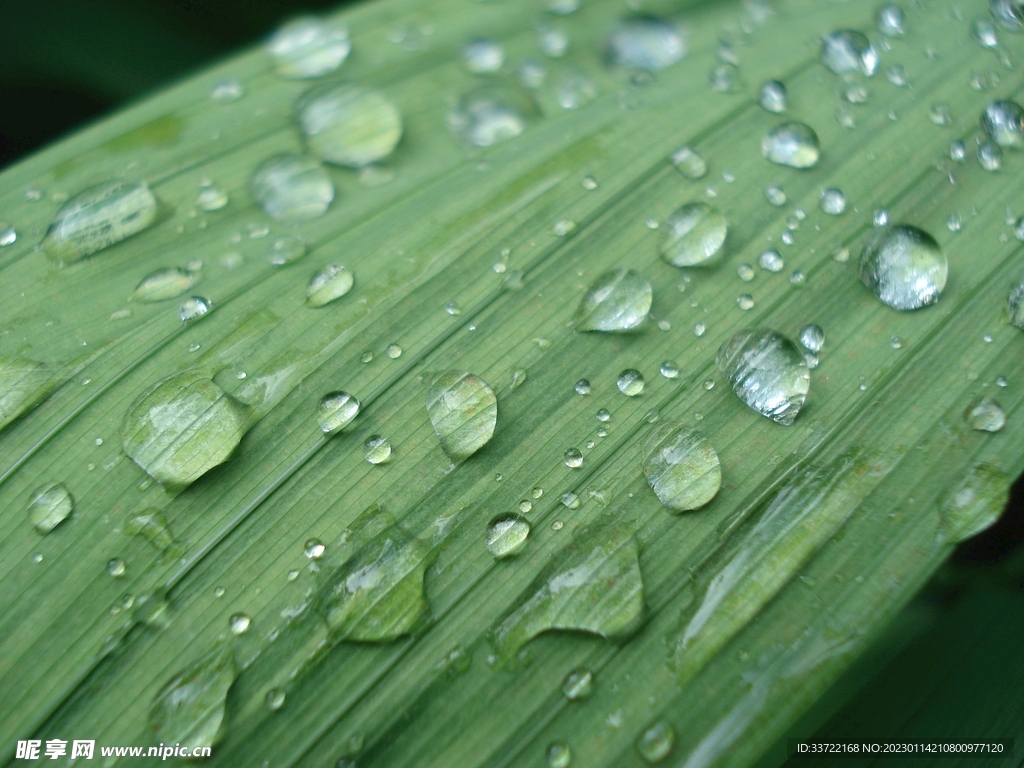 水滴水珠